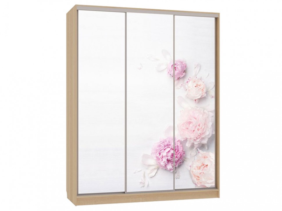 Шкаф-купе Бассо 7 Цветы