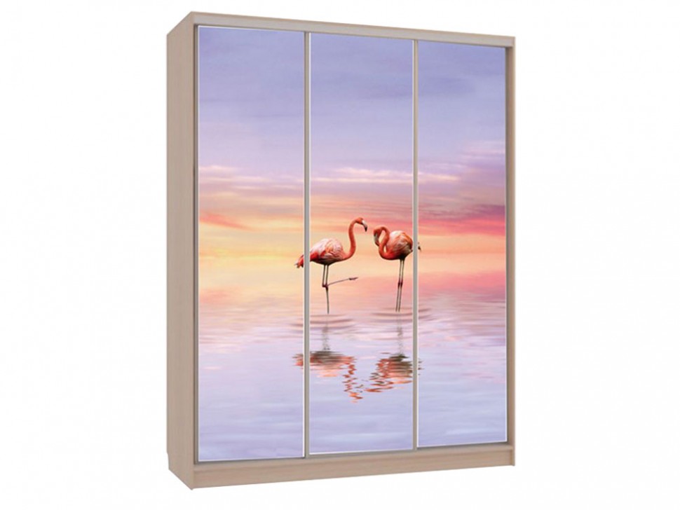 Шкаф-купе Бассо 7-600 19