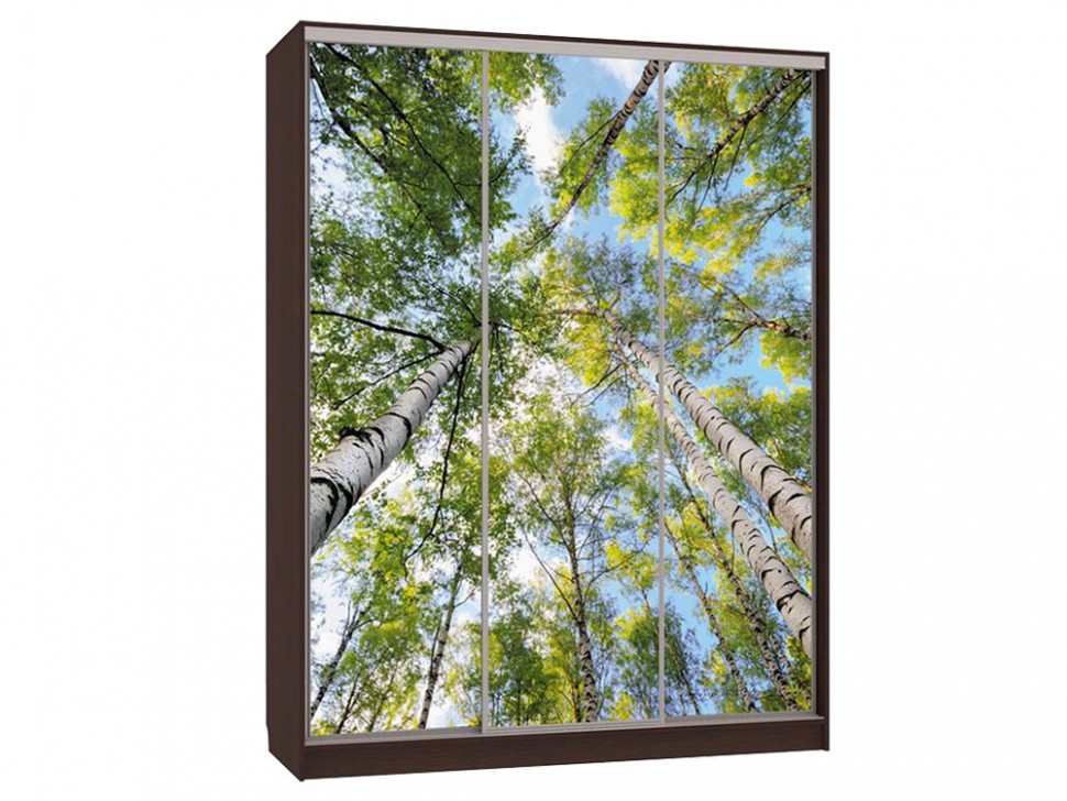 Шкаф-купе Бассо 7 Деревья