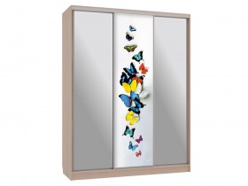 Шкаф-купе Бассо 9-600 88