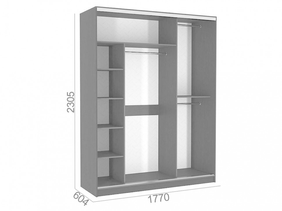 Шкаф-купе Бассо 9 Белые розы