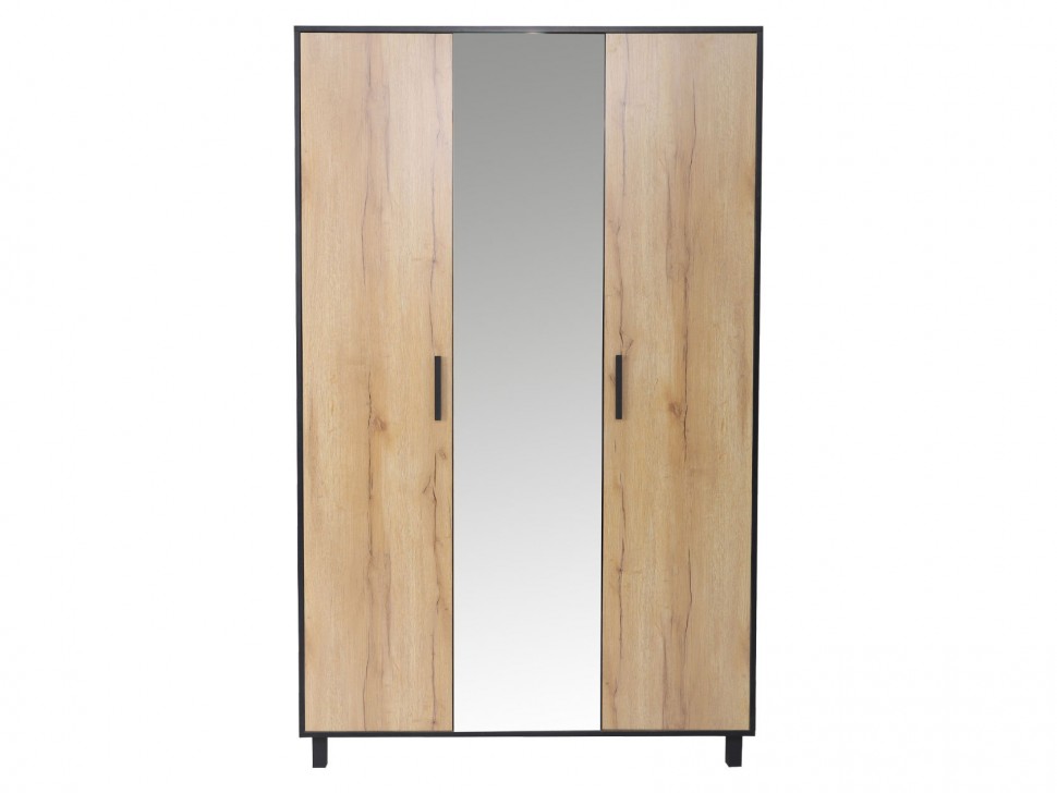 Распашной шкаф Лофт