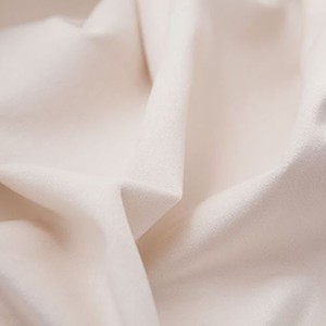 Вельвет,  Evita 2