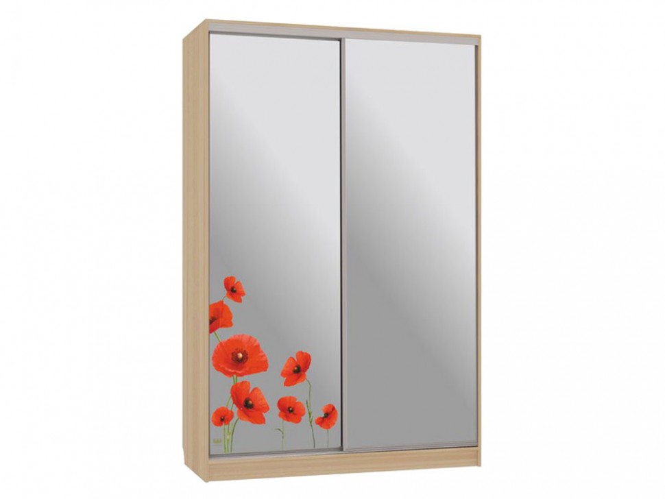 Шкаф-купе Колорадо 4 Маки