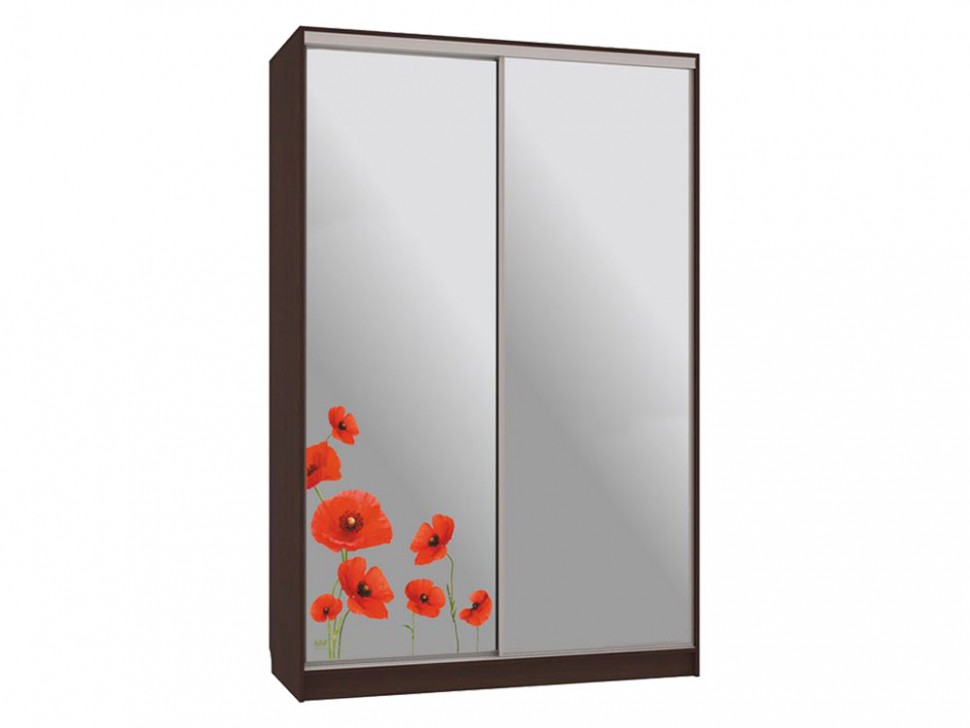 Шкаф-купе Колорадо 4 Маки