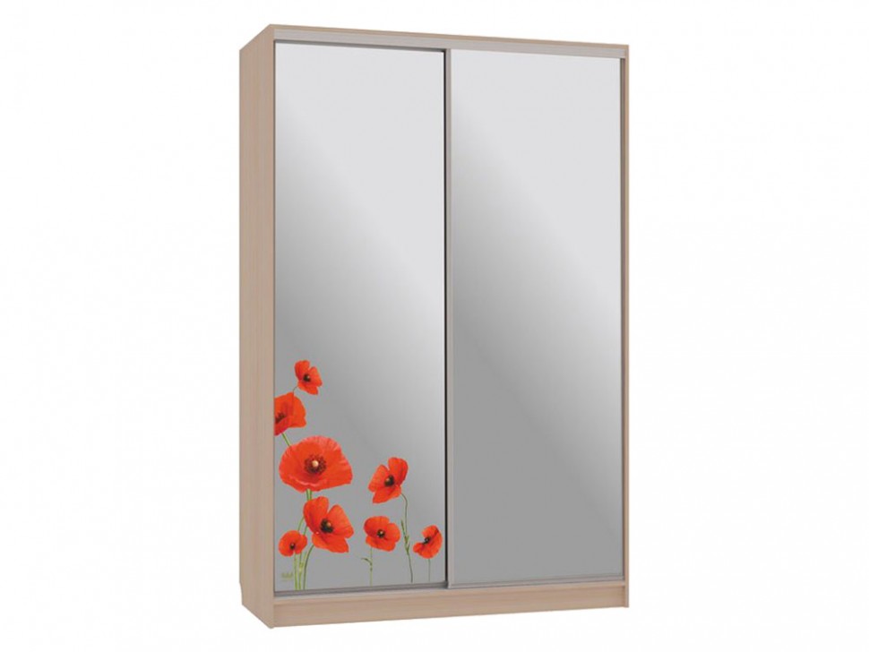 Шкаф-купе Колорадо 4 Маки