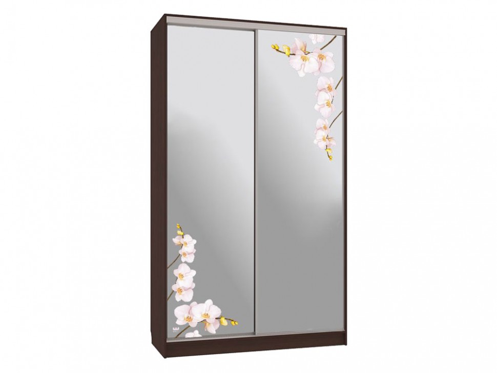 Шкаф-купе Колорадо 4 Орхидеи