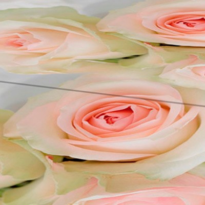 Кухонный стол Аргон