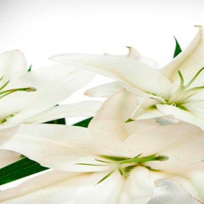 Кухонный стол Кухонный стол Прованс