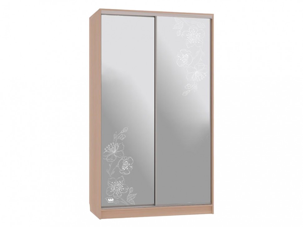 Шкаф-купе Колорадо 4 Токио