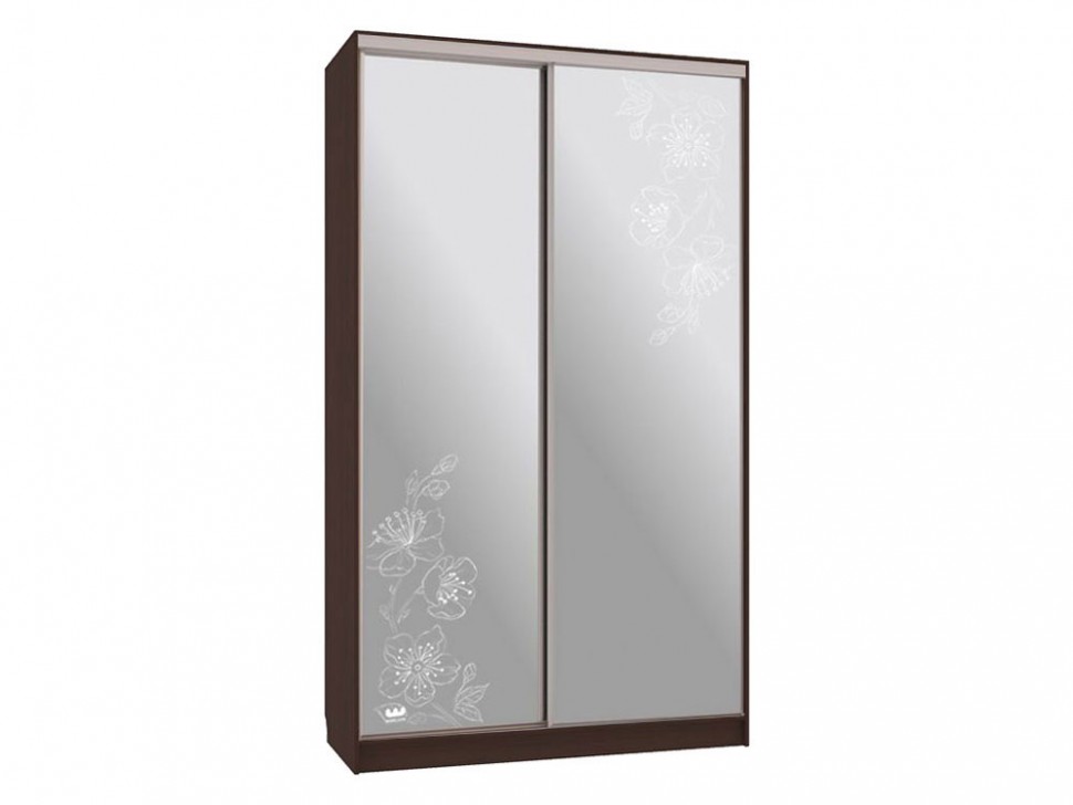 Шкаф-купе Колорадо 4 Токио