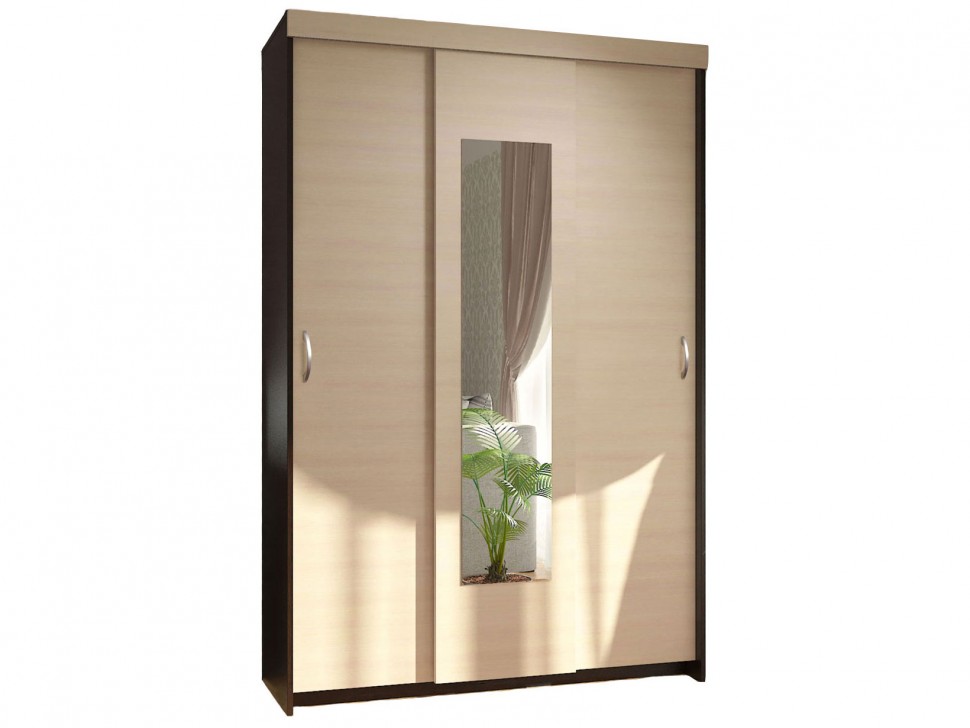 Шкаф-купе Шкаф-купе Комфорт 9М