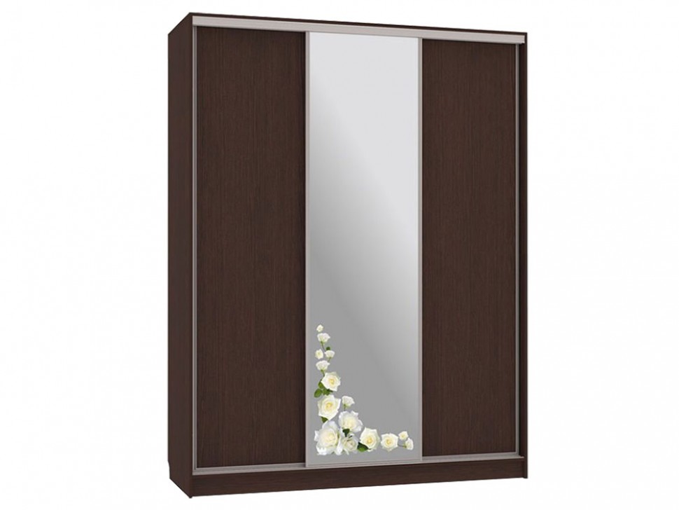 Шкаф-купе Бассо 1 Розы