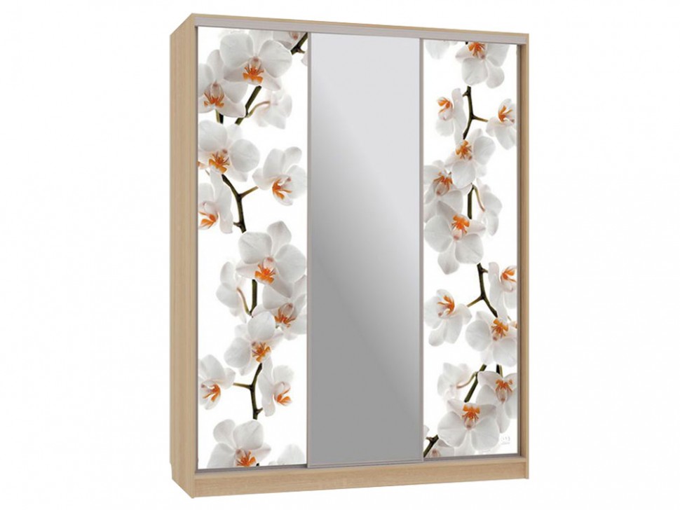 Шкаф-купе Бассо 10 Цветы