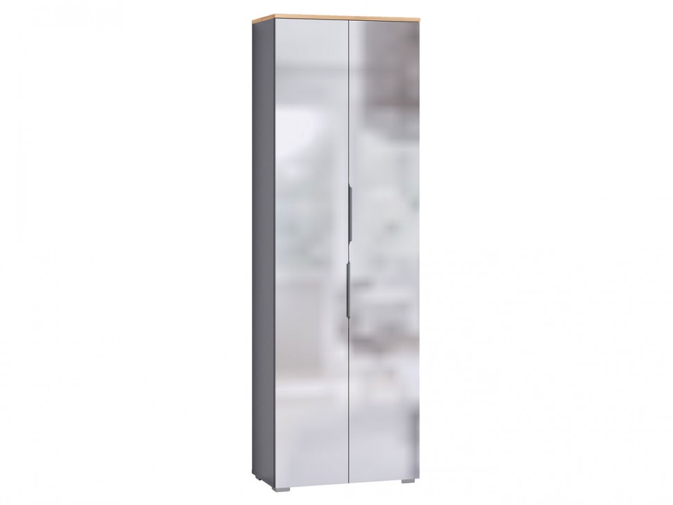 Распашной шкаф Октава