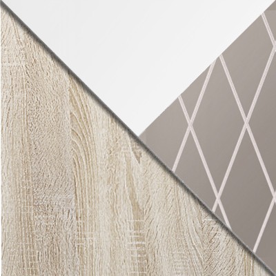 Шкаф-купе Шкаф-купе Фортуна 14 две двери