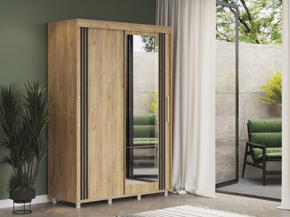 Шкаф-купе Форест