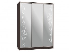 Шкаф-купе Бассо 4 Волны 2