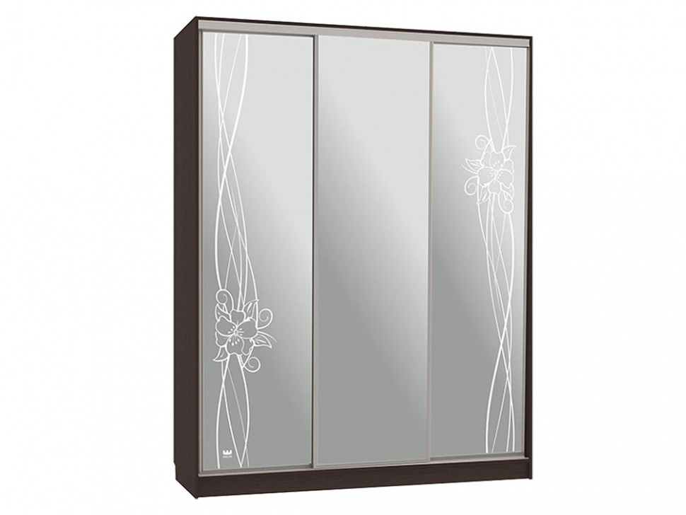 Шкаф-купе Бассо 4 Волны 2