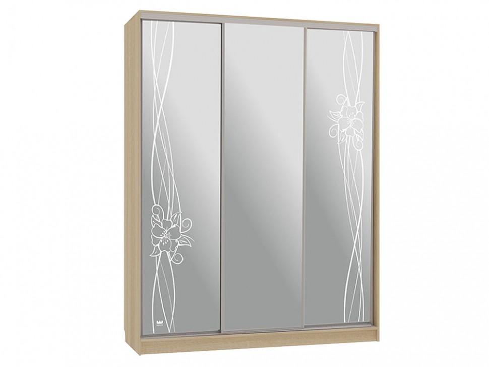 Шкаф-купе Бассо 4 Волны 2