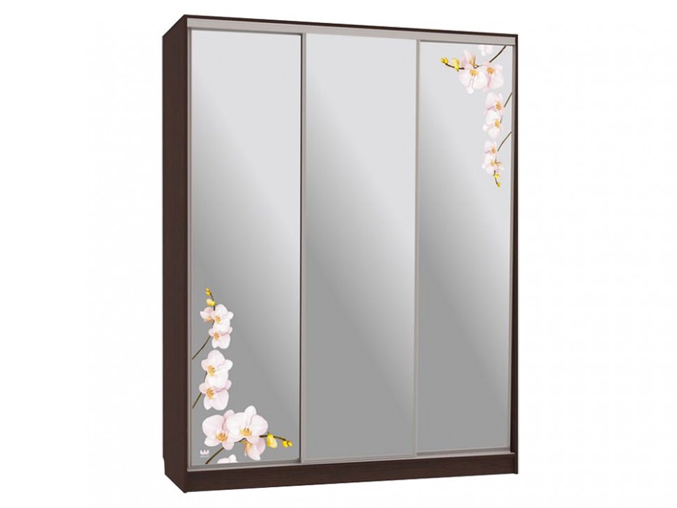 Шкаф-купе Бассо 4 Орхидеи