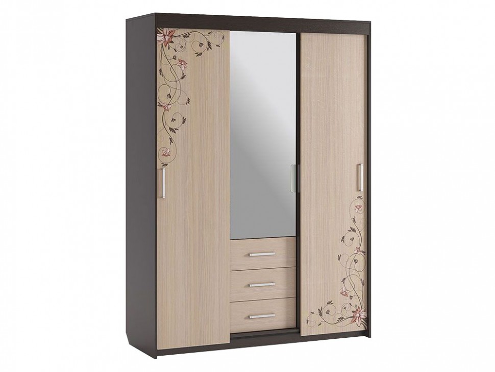 Шкаф-купе Виктория-2