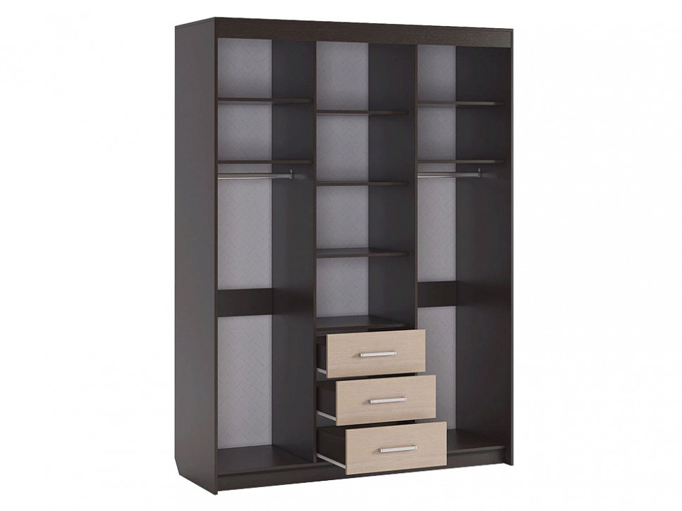 Шкаф-купе Виктория-2